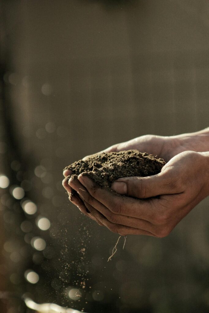 Person holding sand