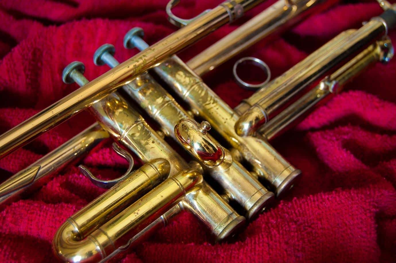 10 Best Trumpet Brands