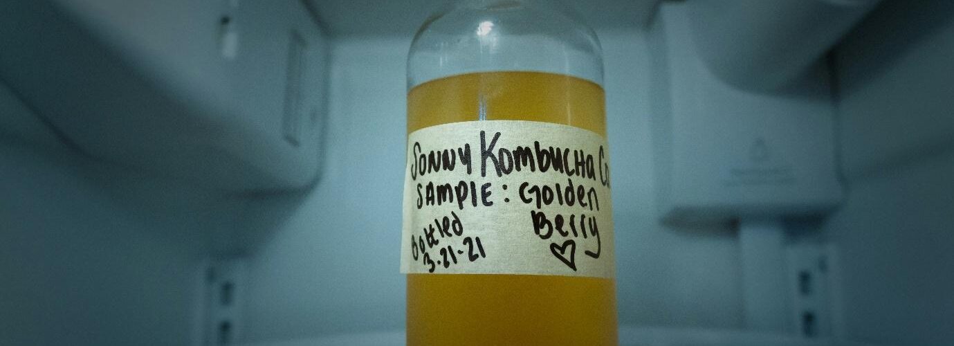 Best Kombucha Brands Featured Image by Harrison Kugler