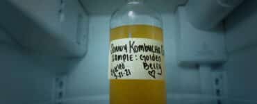 Best Kombucha Brands Featured Image by Harrison Kugler