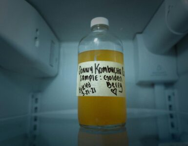 Best Kombucha Brands Featured Image by Harrison Kugler