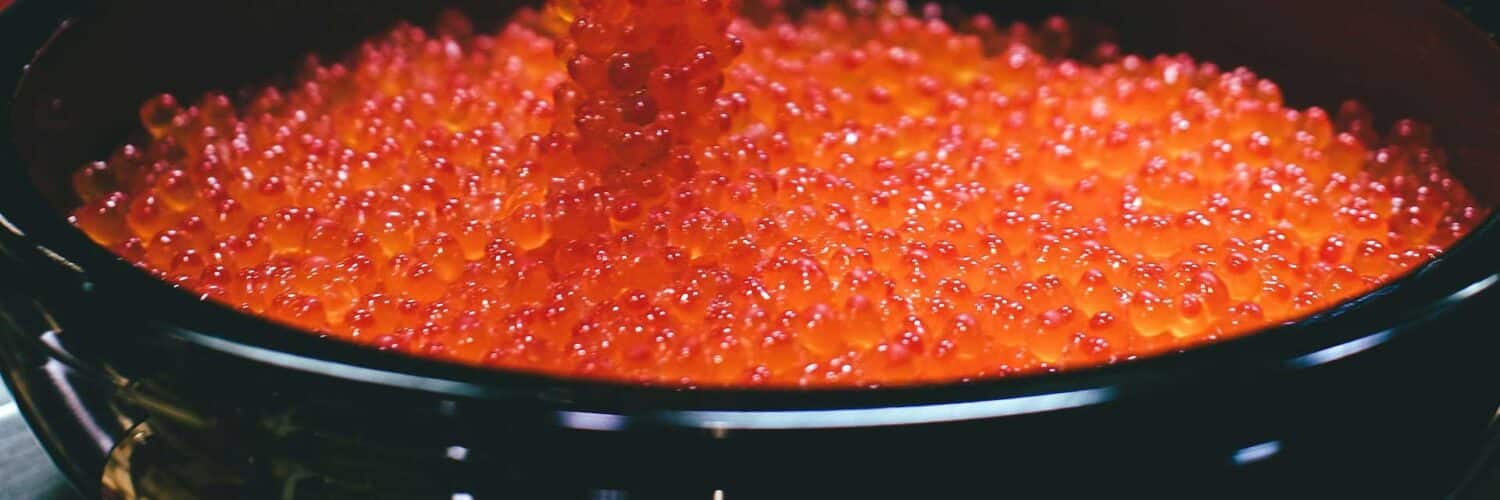 Best Caviar Brands Photo by Oxa Roxa on Unsplash