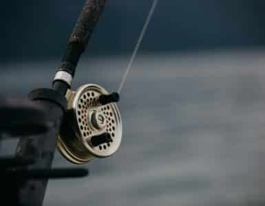 Best Fishing Pole Brands Photo by Matthew McBrayer on Unsplash