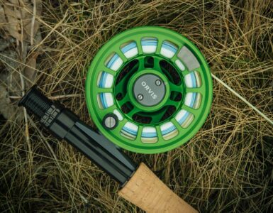 Best Fly Rod Brands Photo by Tim Foster on Unsplash
