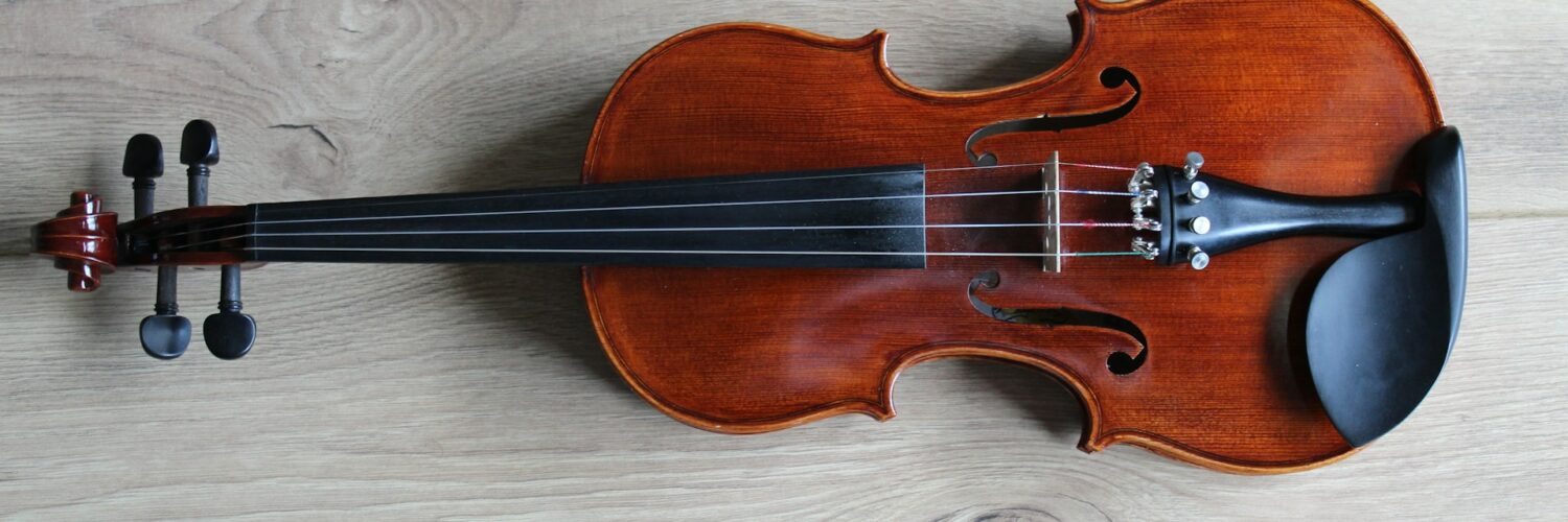 Best Violin Brands Photo by Lucia Macedo on Unsplash