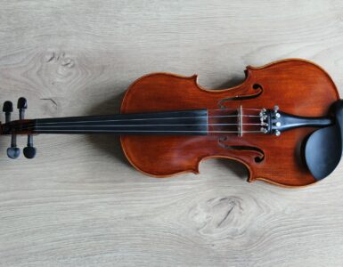 Best Violin Brands Photo by Lucia Macedo on Unsplash