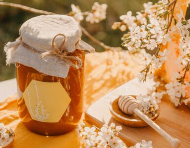 Best Honey Brands Photo by Anita Austvika on Unsplash