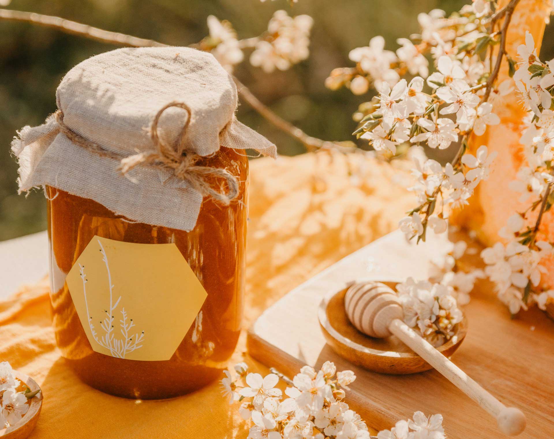 10 Best Honey Brands