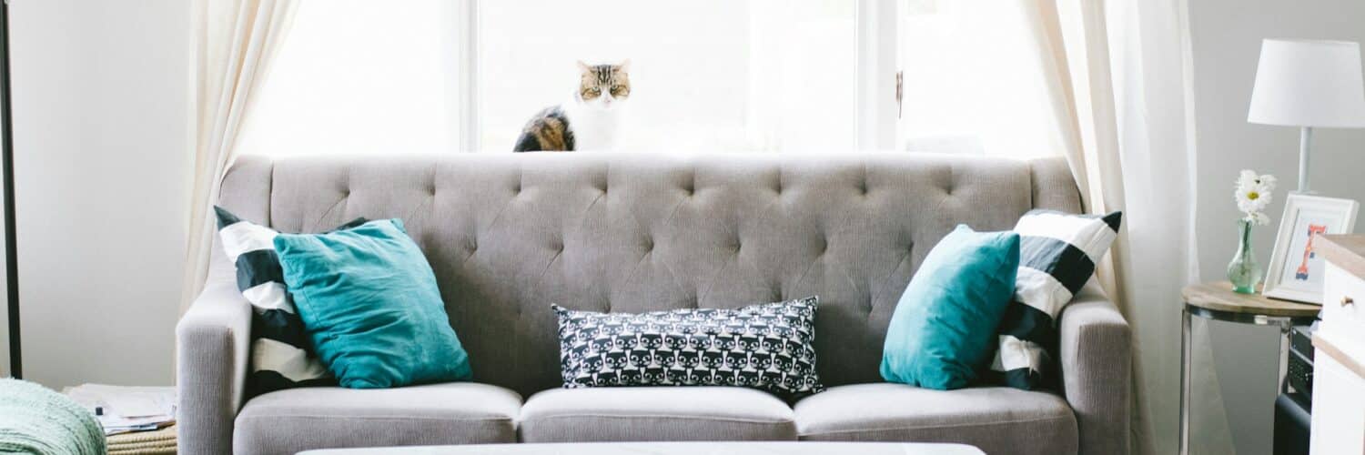 Best Sofa Brands Photo by Nathan Fertig on Unsplash