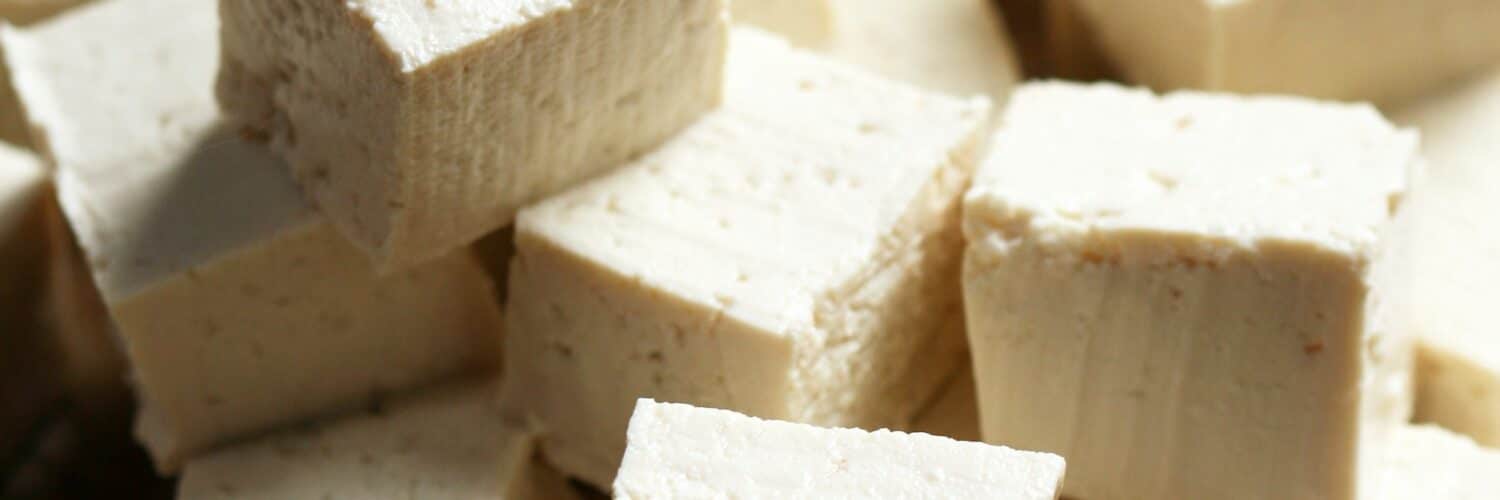 Best Tofu Brands Photo by Kamala Bright on Unsplash